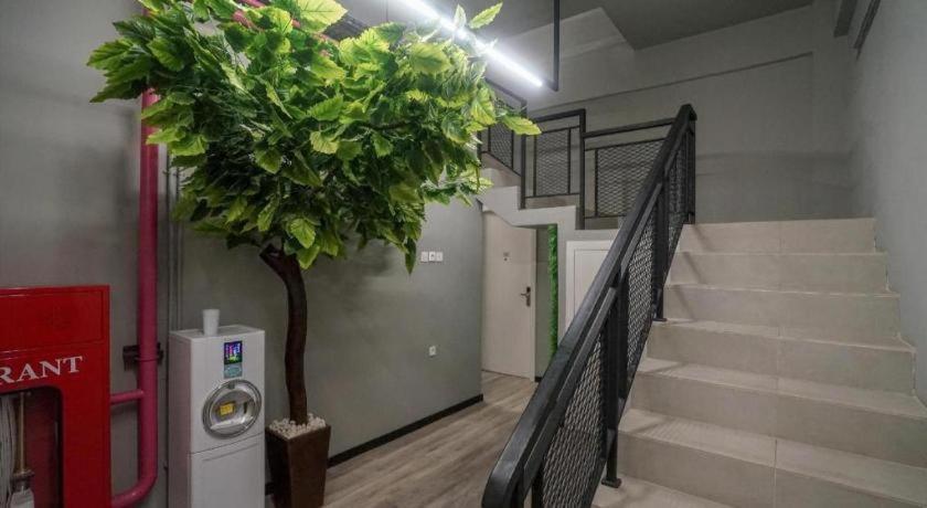 Oyo 568 Rajawali Homestay Palembang Exteriör bild